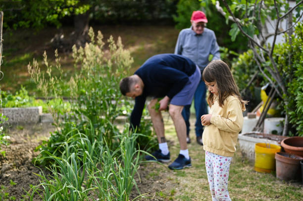 istock Multi-generation family in a vegetable garden. 2148832028