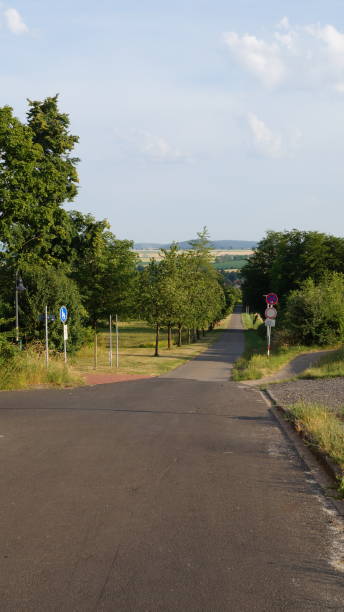 cherry path around the park in the resort area