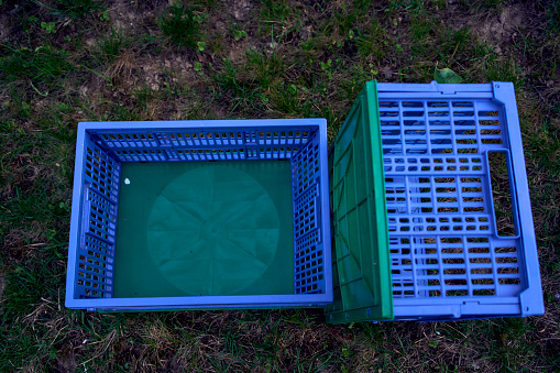 a plastic boxes for vegetables lie on the grass