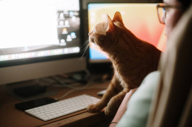 istock Cat and woman in front of a computer 2148839123