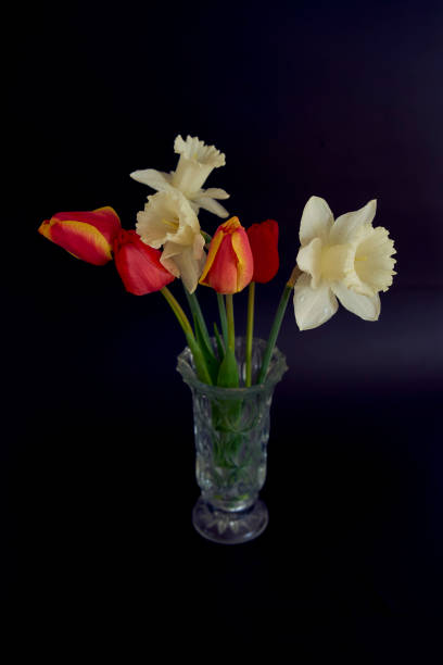istock tulips and daffodils in a crystal vase on a black background 2148839178