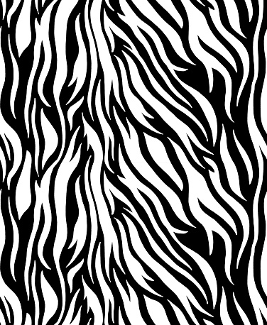 Zebra stripes pattern vector design. Zebra stripes fashion print texture.