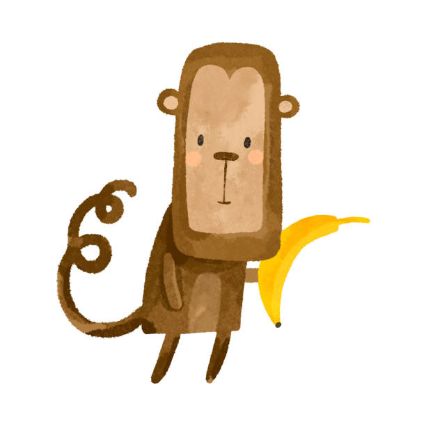 ilustraciones, imágenes clip art, dibujos animados e iconos de stock de lindo mono de dibujos animados con un plátano. ilustración infantil dibujada a mano sobre fondo aislado. ideal para pegatinas e impresión - monkey sketch drawing showing