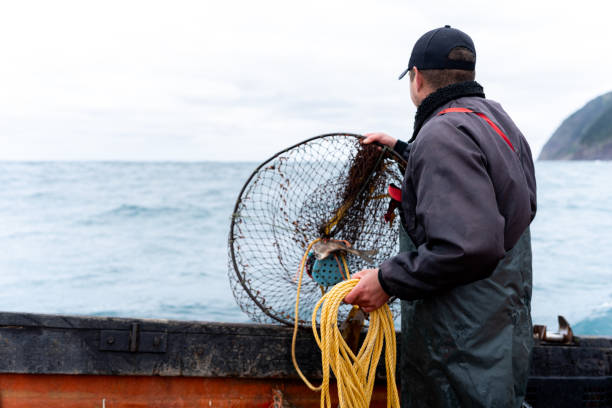 istock Fisherman picking up a container with nets for fishing 2148840961