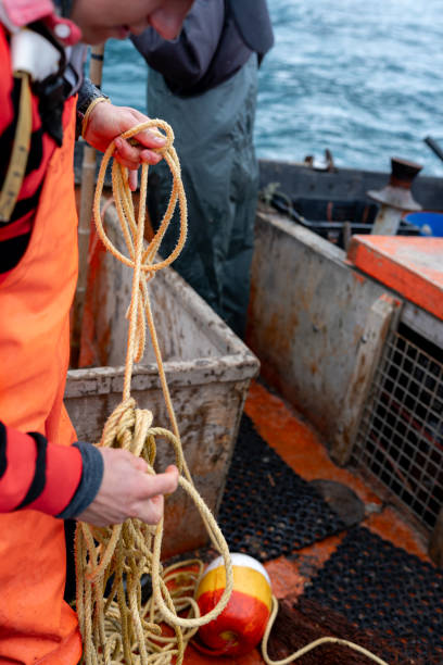 istock Fisherman working with a rope on a fishing boat 2148840964