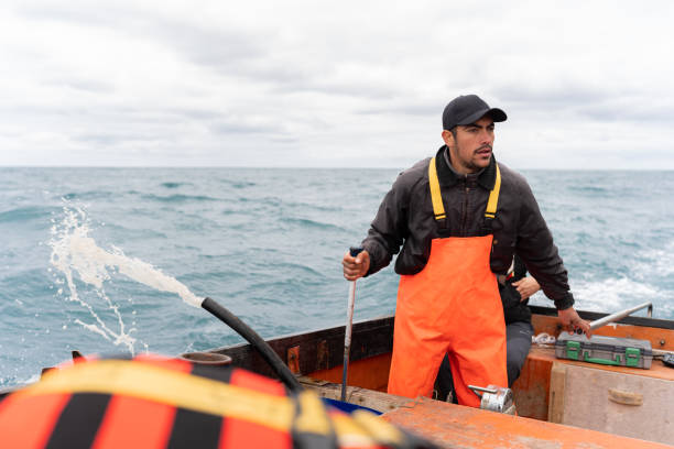 istock Fisherman driving concentrated while fishing lobsters 2148840981