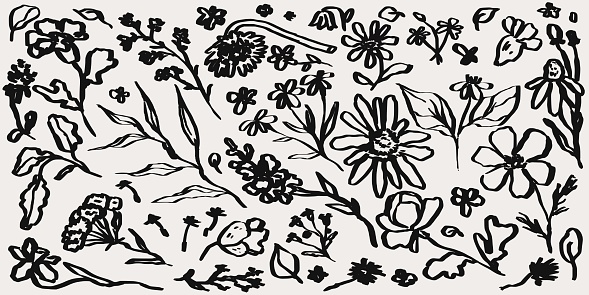 Abstract contemporary minimal flower collection. Modern vector illustration. Ink hand-drawn flowers set. Wild flowers and plants in charcoal or crayon drawing style. Pencil drawn branches and leaves.