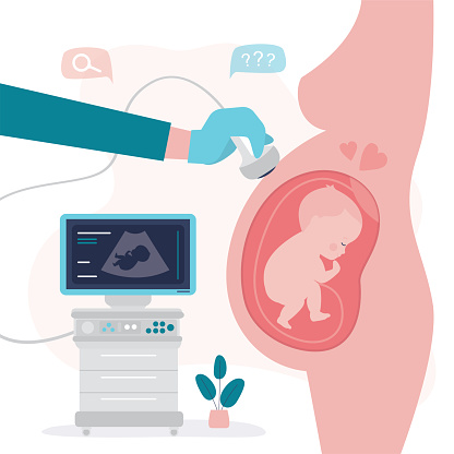 Ultrasound pregnancy screening concept. Scanning young mother belly. Sonographer scanning and examining pregnant woman. Embryo baby health diagnostic. Pregnancy, baby in womb. flat vector illustration