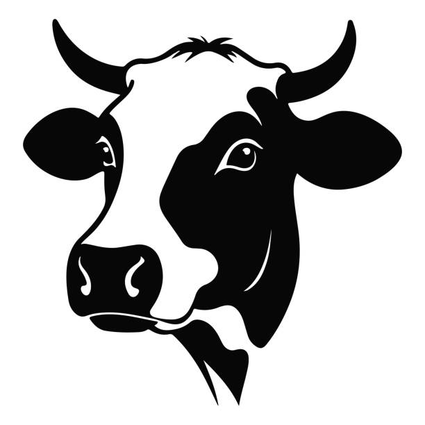 bildbanksillustrationer, clip art samt tecknat material och ikoner med black and white cow head silhouette portrait element. - djurhuvud