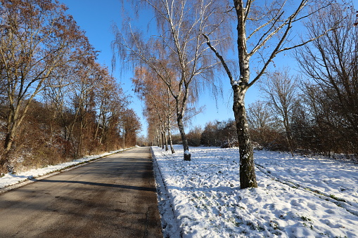 Winter landscape on a clear sunny day.