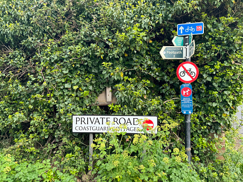 Multiple directional and information road signs in a hedge