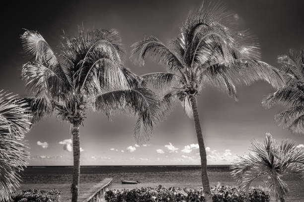 istock ID: 2148845007

Caribbean Room With A View (4) 2148845007