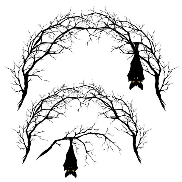 Bat In Tree Drawing How To Draw A Bat Hanging From A Tree