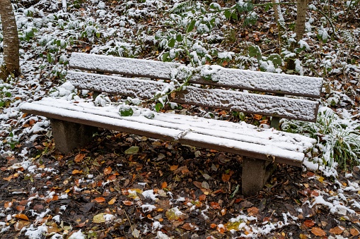 bench in winter park with a little bit snow