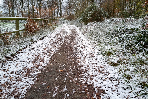 little road in winter