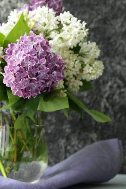 fresh beautiful flowers lilac white and lilac