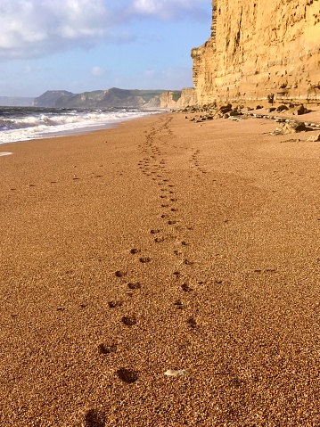 Footprints in the sand Hive Beach Dorset