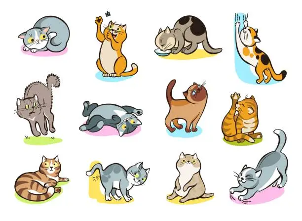 Vector illustration of Cats behavior. Cute pets of different colors and breeds. Domestic animals play or wash fur. Relaxing happy mammals. Kitten mark territory and sharpen their claws. Splendid vector set