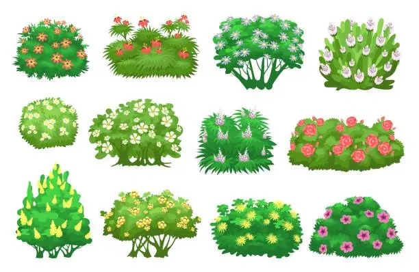 Vector illustration of Green garden bushes with flowers. Decorative summer plants. Cartoon blooming shrubs. Shrubbery trees. Living natural hedge. Botanical landscape elements. Foliage leaves. Splendid vector set