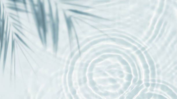 istock palm leaf shadow from above over transparent water surface with sunlight reflection from above, abstract background for travel, beach vacation and wellbeing 2148851504