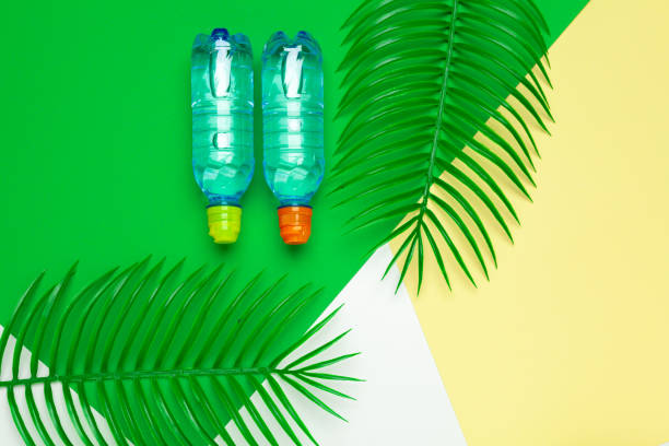 istock Transparent liquid bottle with tropical palm leaves, top view 2148852873