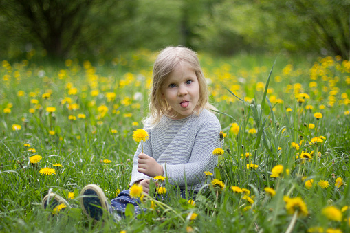 Little European funny girl 4 years old, beautiful, with long blond hair, fools around sitting on green grass in the park with a sly face, close-up portrait of a preschooler, outdoors