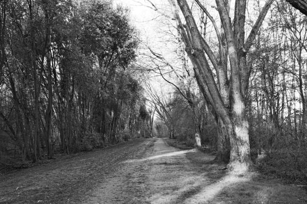 istock wonderful path in the beautiful landscape 2148854212