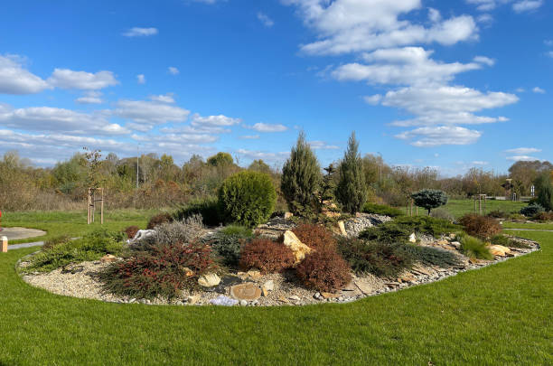 istock Big rock garden from conifers on a sunny day 2148854493