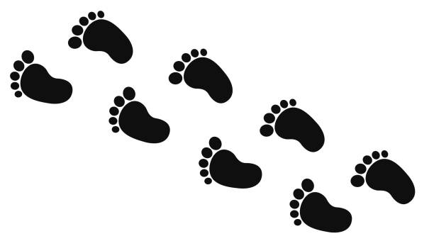 istock Black baby's prints footpath. Kids feet footprints silhouette. Childhood or baby shower theme. Vector isolated illustration. 2148854834