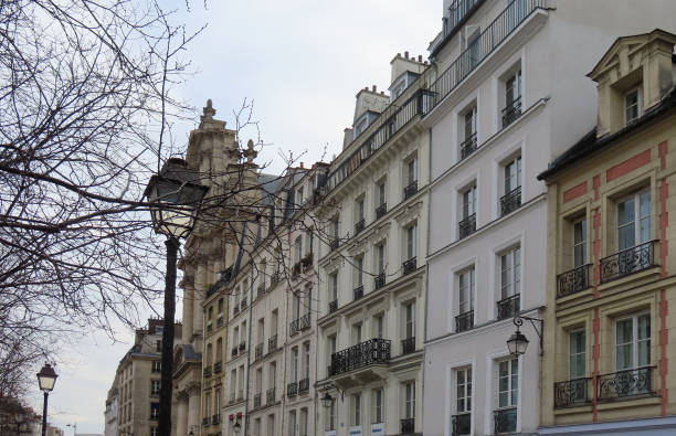 parisian houses and trees, typical city view. High quality photo
