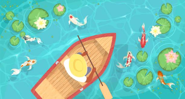 Chinese man swimming on boat in river with koifish Chinese man holding paddle swimming on boat in river with koifish and water lily lotus flower high angle view cartoon vector illustration koi fish and flowers in a pond stock illustrations
