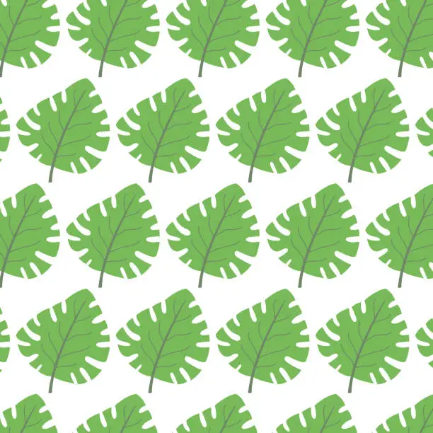Vector illustration of Monstera pattern vector illustration. Seamless pattern with a green monstera leaf on a transparent background.