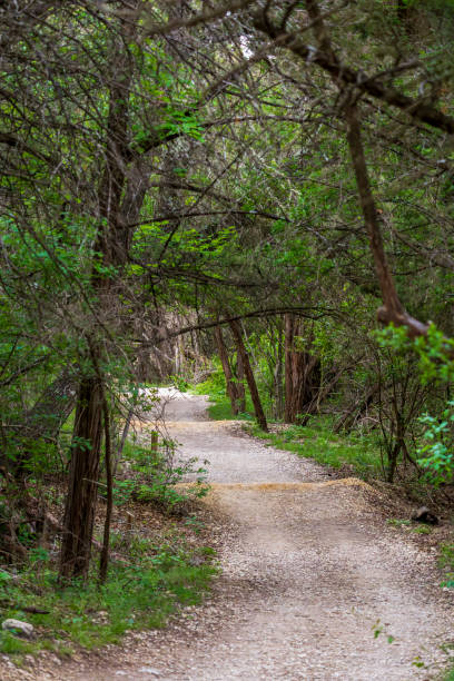 Wilderness Park in San Antonio