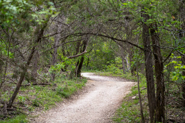 istock Wilderness Park in San Antonio 2148860437