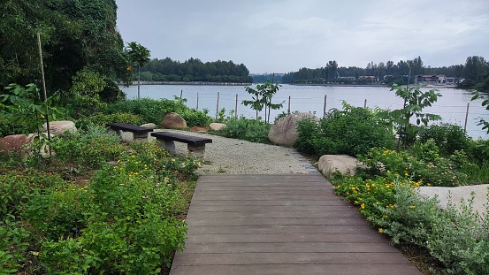 Enjoy the serene ambiance of wooden chairs by the lake, adorned with a few flowering plants, creating a tranquil and picturesque spot perfect for relaxation and contemplation.