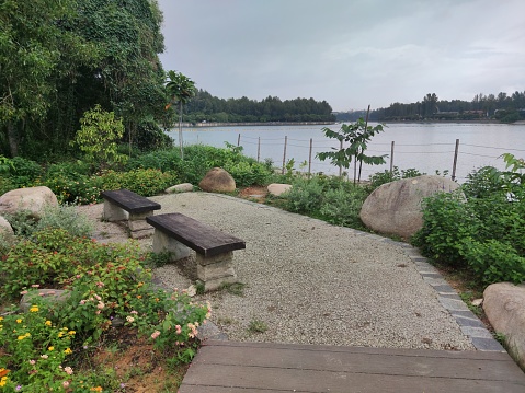 Enjoy the serene ambiance of wooden chairs by the lake, adorned with a few flowering plants, creating a tranquil and picturesque spot perfect for relaxation and contemplation.