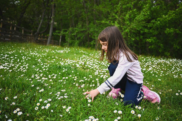Child in a green lawn.