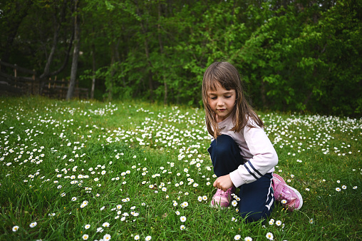 Cute little girl in a spring meadow.