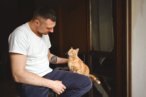Young adult man stroking tabby cat.