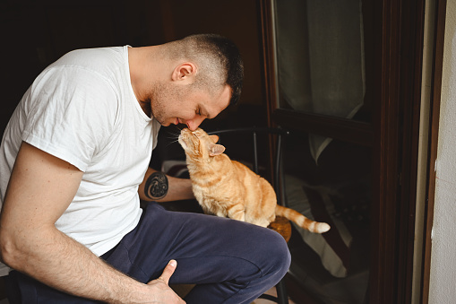 Man petting ginger cat.