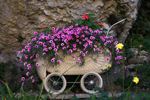 Baby stroller with beautiful petunia flowers.