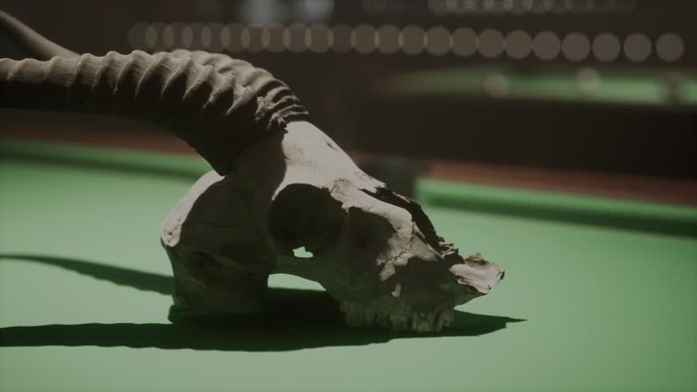 A fake animal skull on a pool table