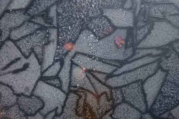 Pattern of ice on a frozen pond.