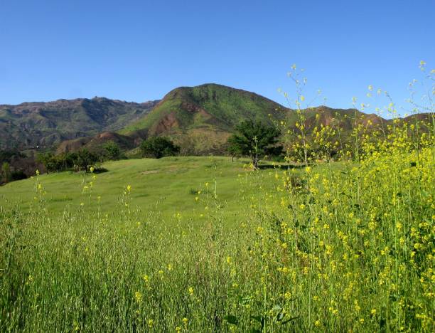 istock Paramount Ranch, Santa Monica Mountains, California 2148866432