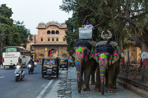 Two Decorated elephants and their riders are in front of a gate of the city palace, standing on the sidewalk next to the busy streets of Jaipur city in Rajasthan