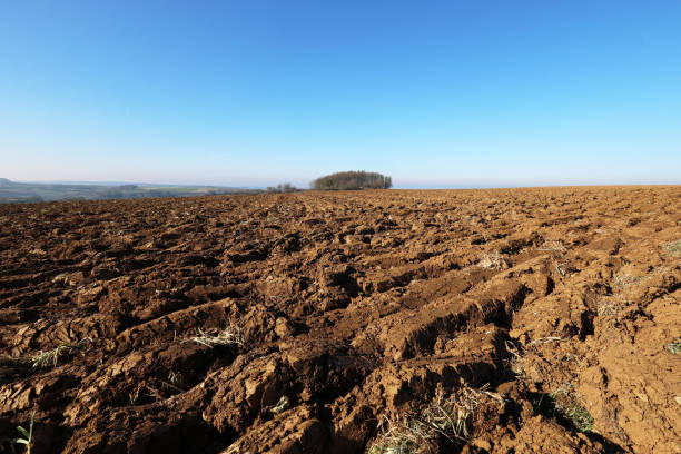 plowed land in the foreground