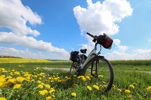 A bicycle stands in a field of dandelions.
