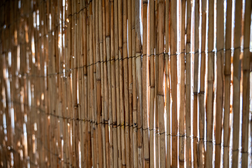 Bamboo fence background. Bamboo fence texture