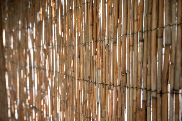 Bamboo fence background. Bamboo fence texture