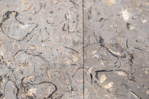 istock Abstract smooth grey white black marble tiles joint texture background 2148868202